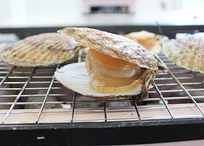 炭火焼き体験・ホタテ