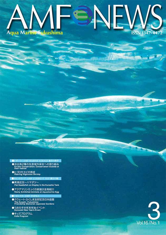 機関誌「AMF NEWS」56号