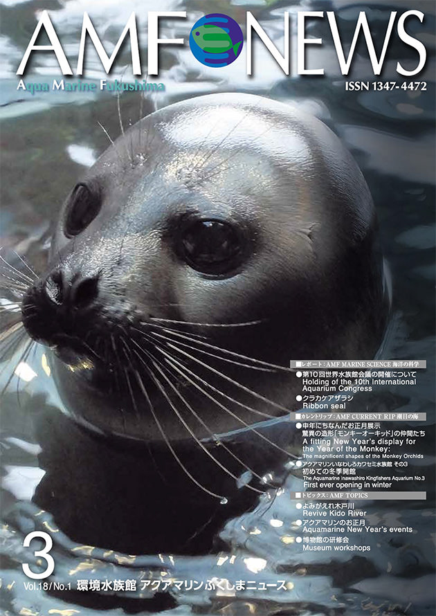 機関誌「AMF NEWS」64号