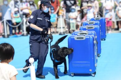 税関展_麻薬探知犬デモンストレーション