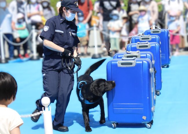 税関展_麻薬探知犬デモンストレーション